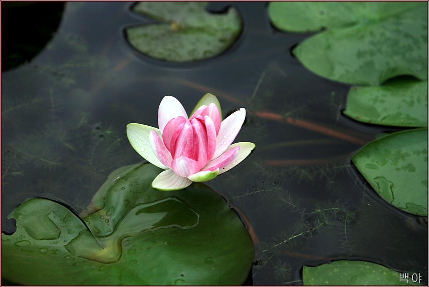 �̹����� Ŭ���ϸ� ������ ���� �� �ֽ��ϴ�.