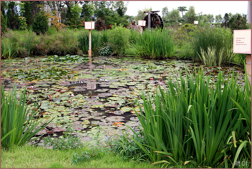 À̹ÌÁö¸¦ Ŭ¸¯ÇÏ¸é ¿øº»À» º¸½Ç ¼ö ÀÖ½À´Ï´Ù.