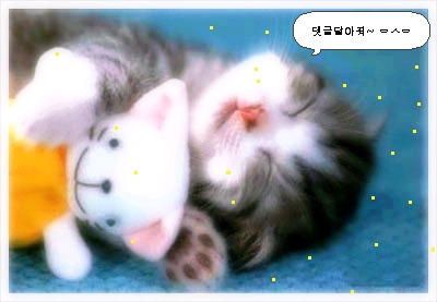 내일또와 이미지