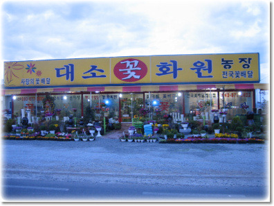 음성꽃화원 이미지