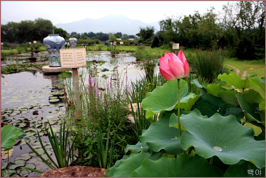 �̹����� Ŭ���ϸ� ������ ���� �� �ֽ��ϴ�.