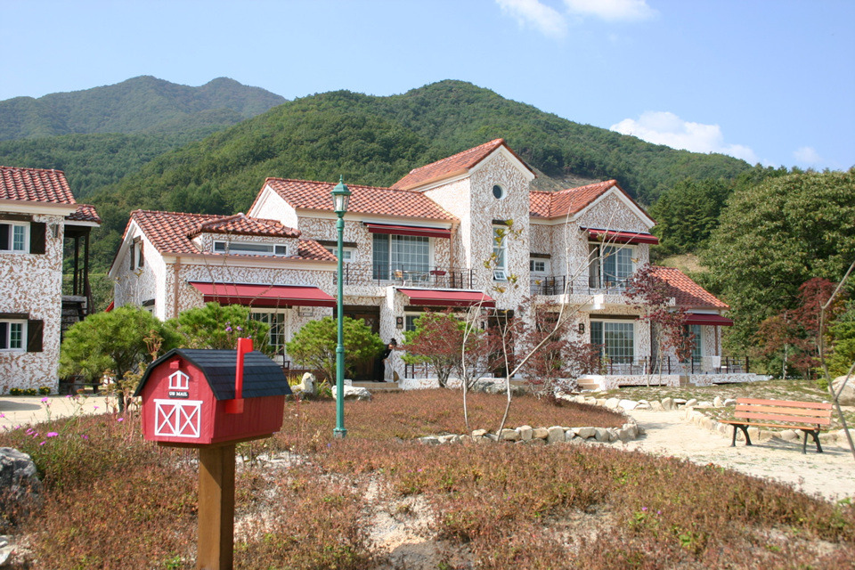 젤코바 이미지