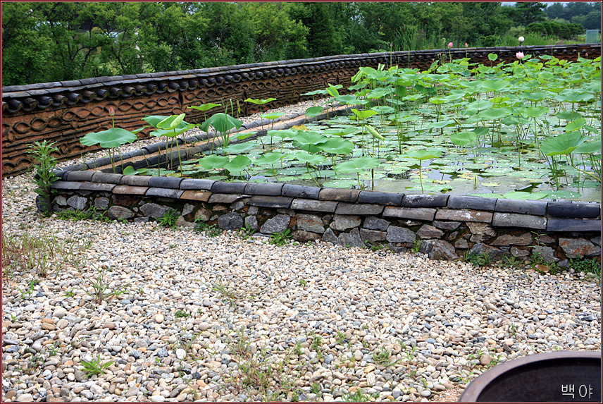 �̹����� Ŭ���ϸ� ������ ���� �� �ֽ��ϴ�.